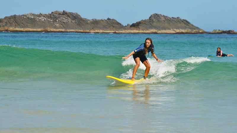 Escape the city and experience a day of surfing lessons with the awesome team at Waves Surf School! We take you to a PRIVATE ACCESS BEACH away from the crowds.